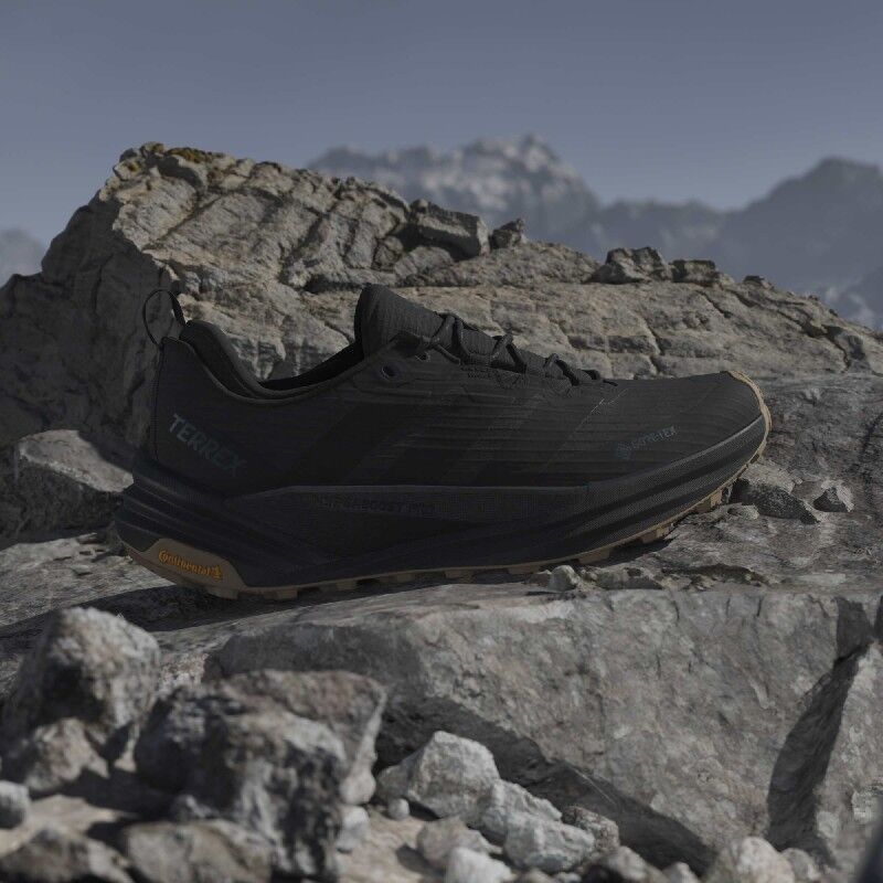 adidas Terrex Freehiker 3 Low GTX - Walking shoes - Men's | Hardloop