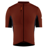 Burnt Ochre