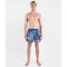 Oxbow Wipeout Vo - Boardshorts męskie | Hardloop
