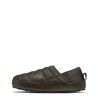 Dark Chestnut / Dark Ches