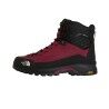 Burgundy Crush / TNF Blac