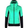 Bright Teal