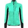 Bright Teal