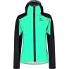 Bright Teal