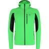 Vibe Green