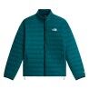 Pacific Teal