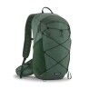 Canopy Green