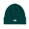 The North Face Norm Beanie - Muts - Heren | Hardloop