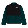 The North Face Teen Denali Jacket - Polar criança | Hardloop