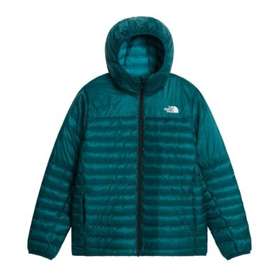 Terra Peak Hoodie - Donsjack - Heren