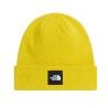 Pigment Yellow