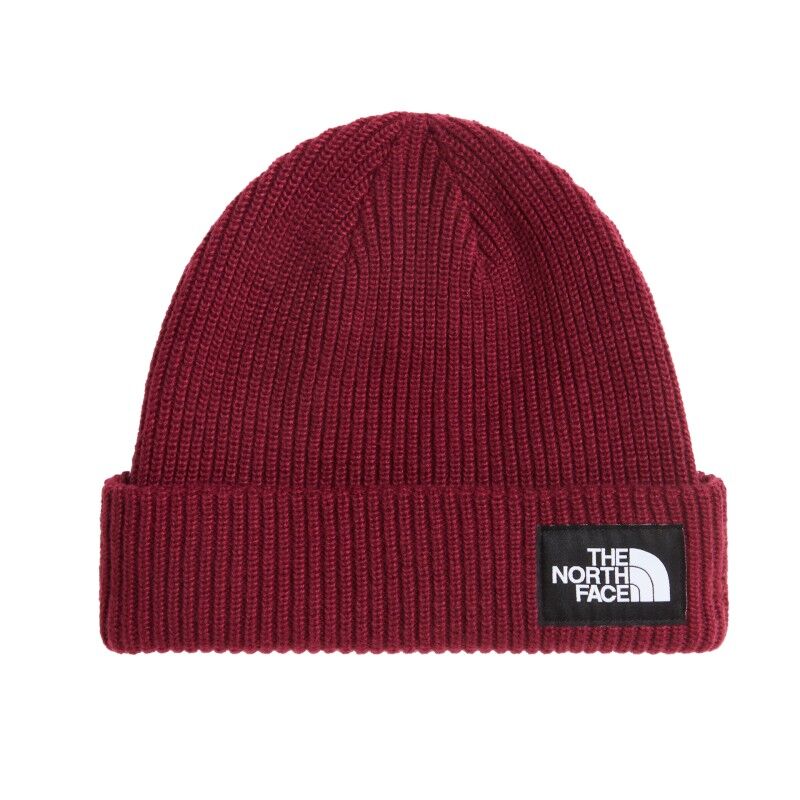The North Face Salty Lined Beanie - Mütze - Herren | Hardloop