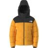 Summit Gold / TNF Black