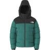 Restorative Teal / TNF Bl