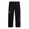 The North Face M Summit Eastwall Gtx Pant - Skihose - Herren | Hardloop