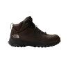 Coffee Brown / TNF Black