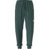 The North Face M Mountain Athletics Fleece Pant 2.0 - Träningsbyxa - Herr | Hardloop