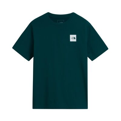 Evolution Box Half Dome Regular Short - T-paita - Miehet