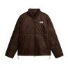 Dark Chestnut