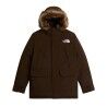 Dark Chestnut