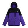 The North Face M Freedom Insulated Jacket - Ski jacket - Men's | Hardloop