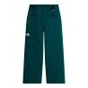 The North Face M Freedom Insulated Pant - Pantalones de esquí - Hombre | Hardloop