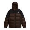 Dark Chestnut Black Hea