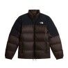 Dark Chestnut Black Hea