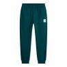 Pacific Teal