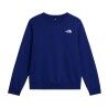 The North Face M Evolution Box Nse Regular Crew - Bluza męska | Hardloop
