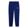 The North Face Teen Tnf Performance Fleece Jogger - Træningsbukser - Barn | Hardloop