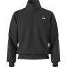 The North Face M Evolution Simple Dome Regular 1/4 Zip - Pulloverit - Miehet | Hardloop