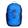Active Blue / Bold Blue