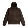 Dark Chestnut