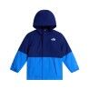 Bold Blue / Active Blue