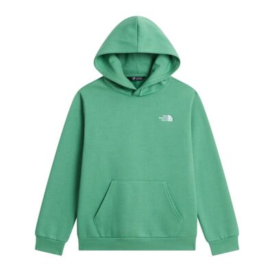 Teen Evolution Simple Dome Pullover Hood - Bluza z kapturem dziecięca