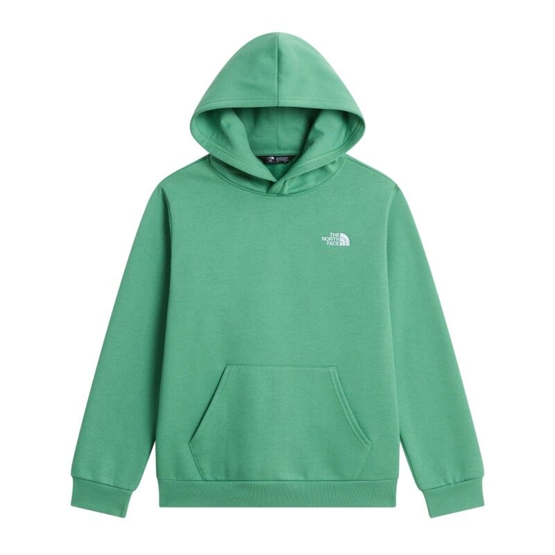 The North Face Teen Evolution Simple Dome Pullover Hood - Sweatshirt à capuche enfant | Hardloop