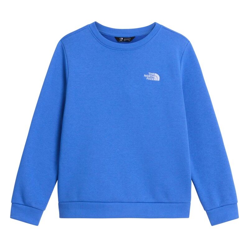 Teen Evolution Simple Dome Crew - Jumper - Kid's