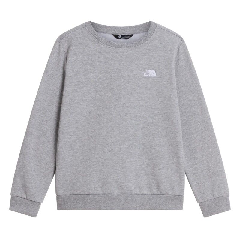 Teen Evolution Simple Dome Crew - Jumper - Kid's