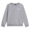 TNF Pale Grey Heather