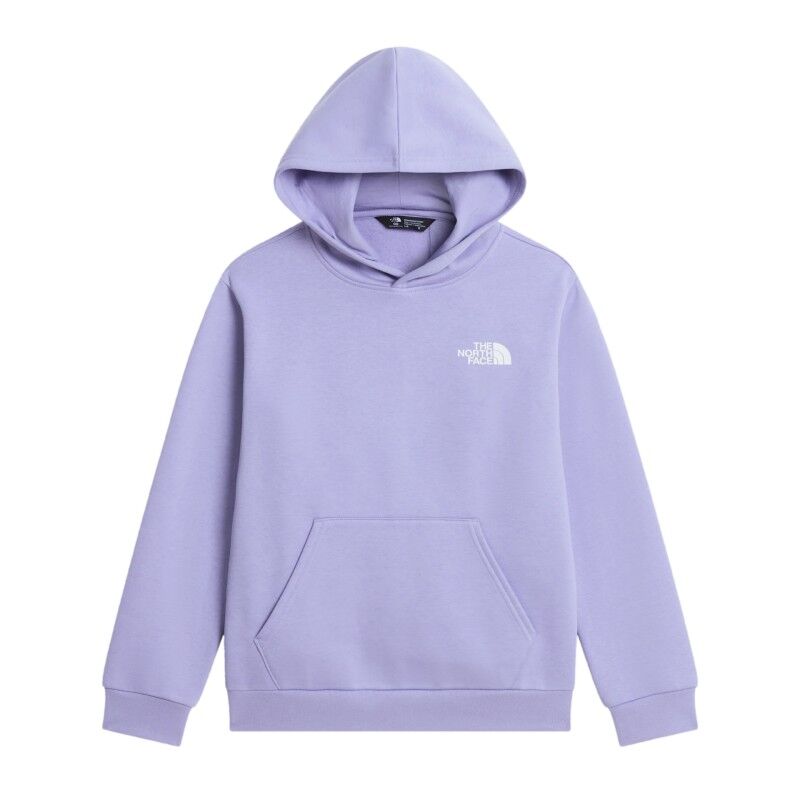 The North Face Teen Evolution Box Nse Pullover Hoodie - Sweatshirt criança | Hardloop