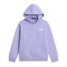 The North Face Teen Evolution Box Nse Pullover Hoodie - Huppari - Lasten | Hardloop