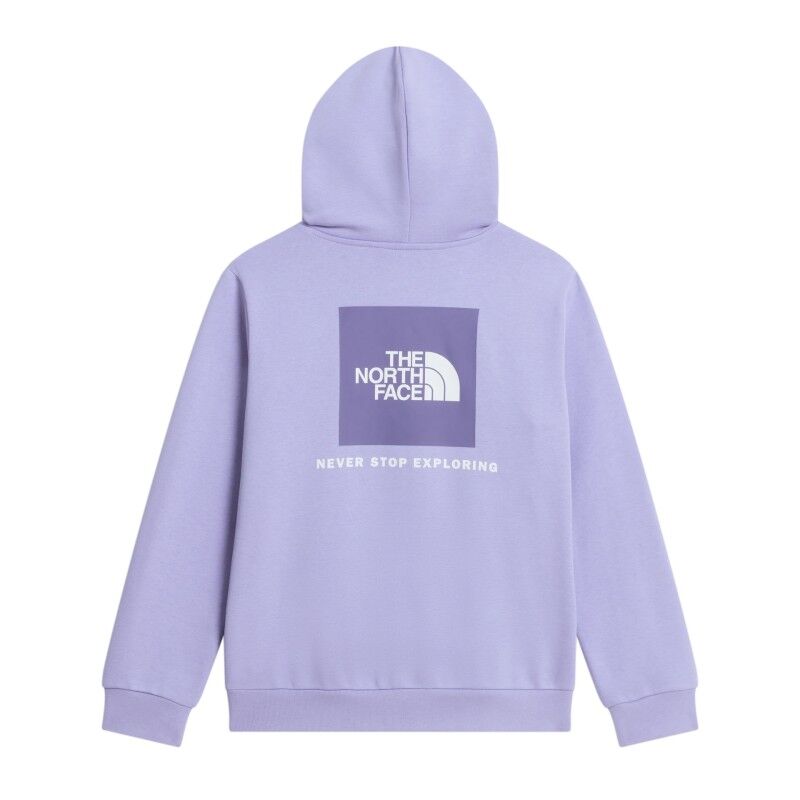 The North Face Teen Evolution Box Nse Pullover Hoodie - Sudadera - Niños | Hardloop