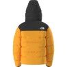 The North Face M Summit Nuptse Jacket - Doudoune homme | Hardloop