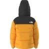The North Face W Summit Nuptse Jacket - Windproof jacket - Women's | Hardloop