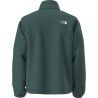 The North Face M Tnf Fleeski Fz Jacket - Fleece jacket - Men's | Hardloop