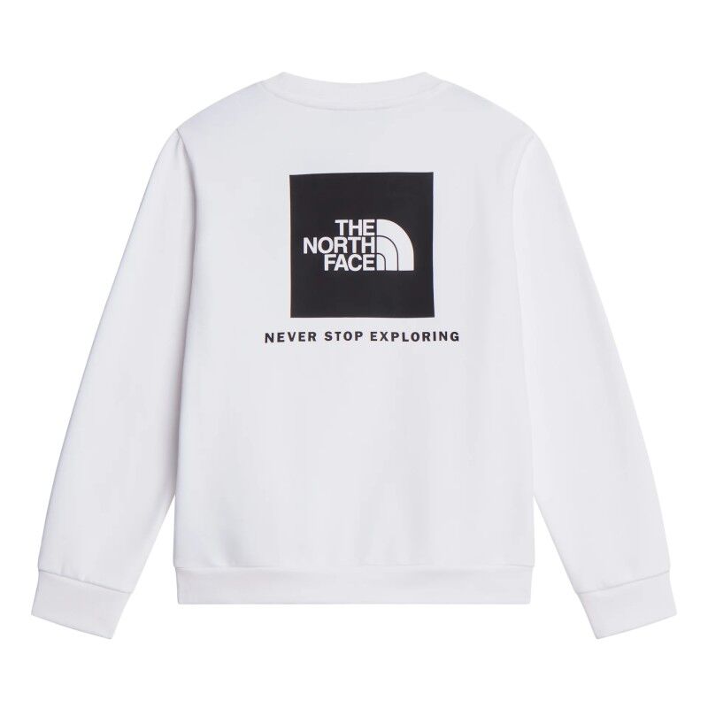 The North Face Teen Evolution Box Nse Crew - Jumper - Kid's | Hardloop