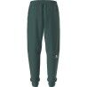 The North Face M Mountain Athletics Fleece Pant 2.0 - Tracksuit bottom - Men's | Hardloop