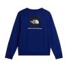 The North Face M Evolution Box Nse Regular Crew - Jerséis - Hombre | Hardloop