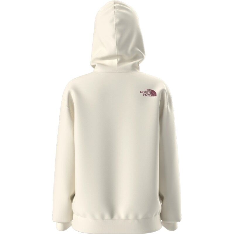 The North Face Teen G Brand Proud Relaxed Hoodie - Gra - Hoodie - Kind | Hardloop